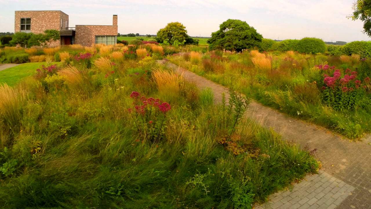 Five Seasons: The Gardens of Piet Oudolf Trailer (2017) Screen Capture #4