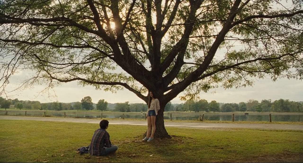 The Killing of a Sacred Deer Featurette - Original Voice (2017) Screen Capture #3