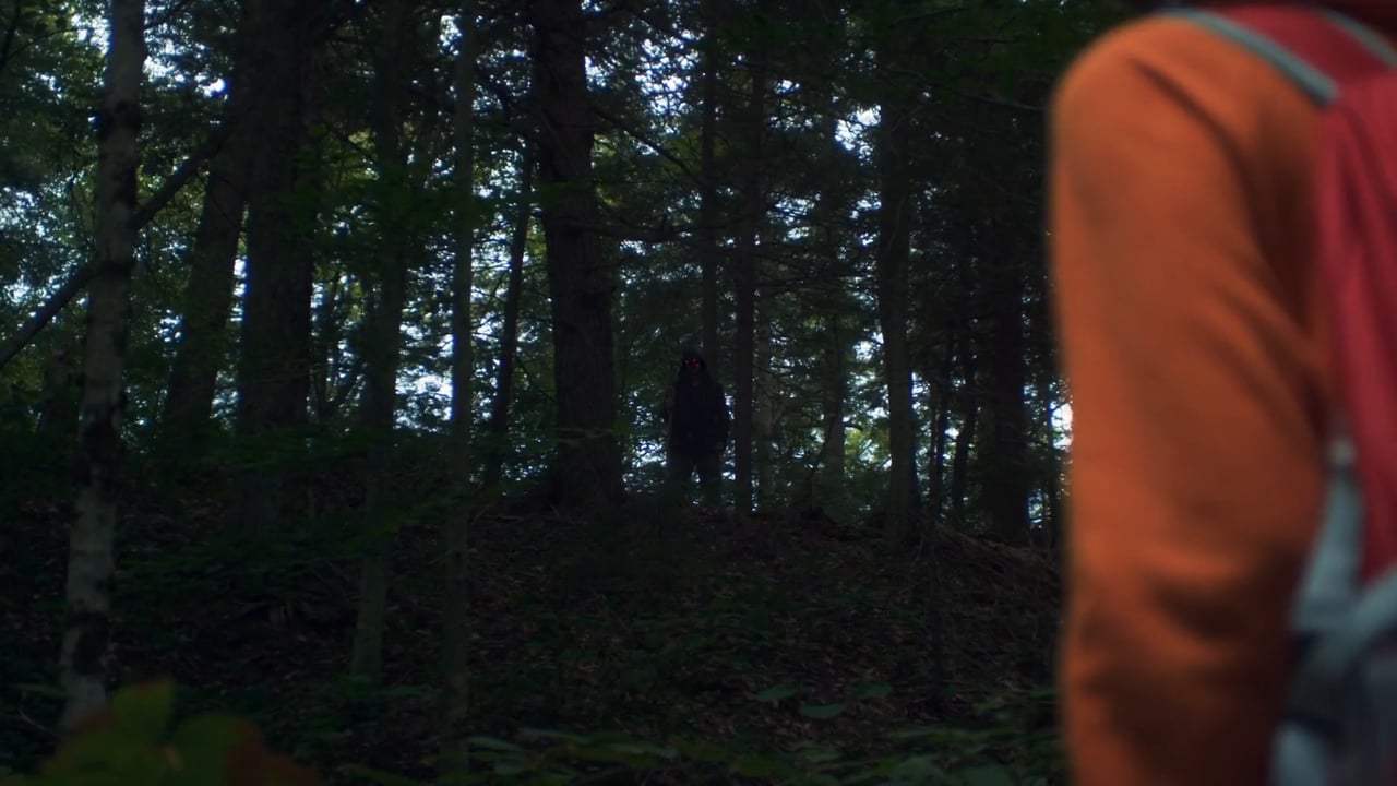 Desolation Trailer (2017) Screen Capture #4