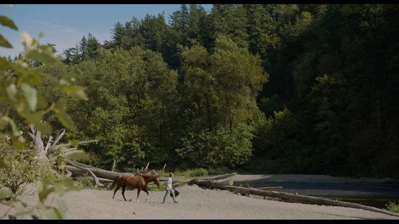 Lean on Pete Trailer (2018) Screen Capture #3