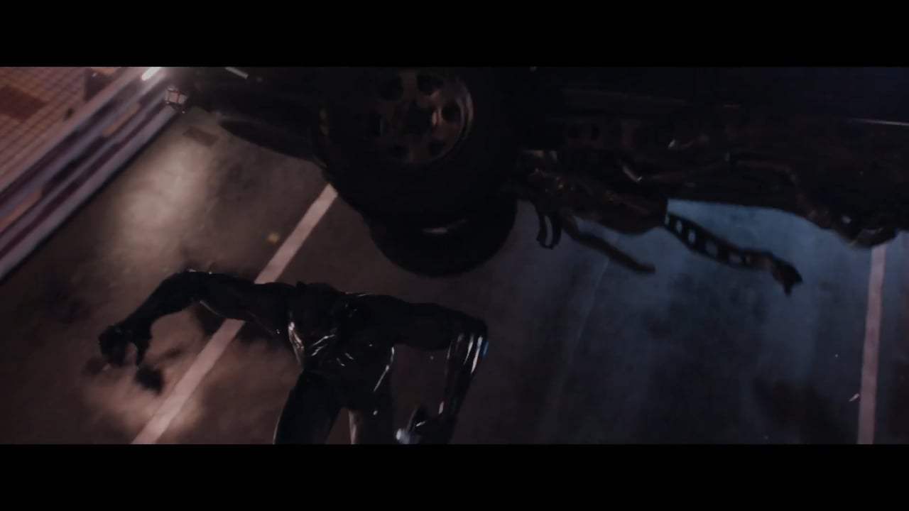 Black Panther Japanese Trailer (2018) Screen Capture #4