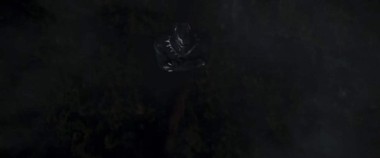 Black Panther TV Spot - All-Star (2018) Screen Capture #2