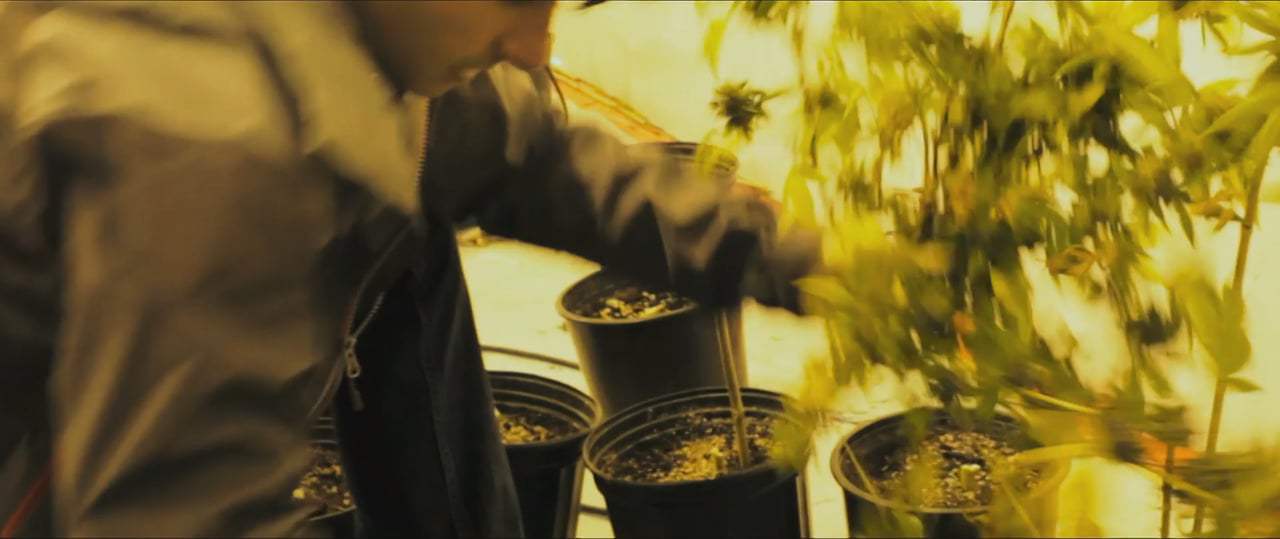 Dark Harvest Trailer (2018) Screen Capture #3