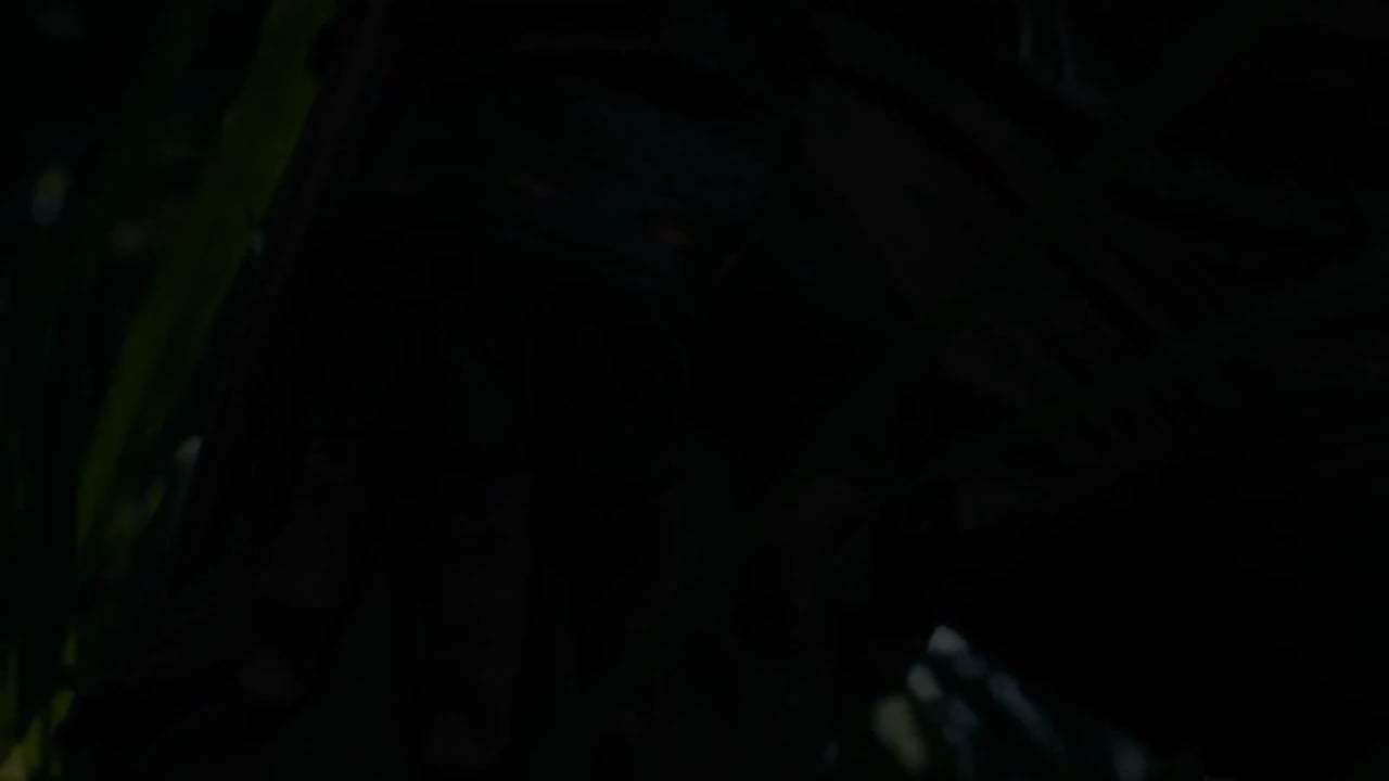 Jumanji: Welcome to the Jungle Featurette - Spencer (2017) Screen Capture #1