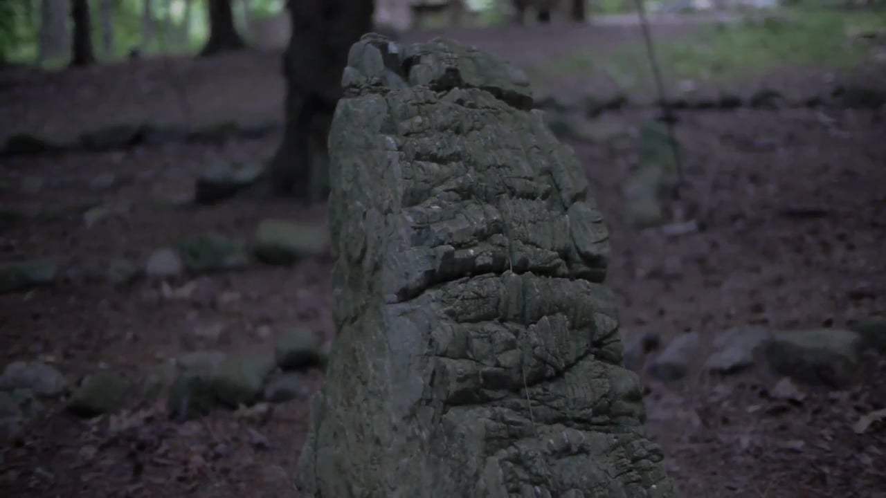 American Jedi Trailer (2017) Screen Capture #1
