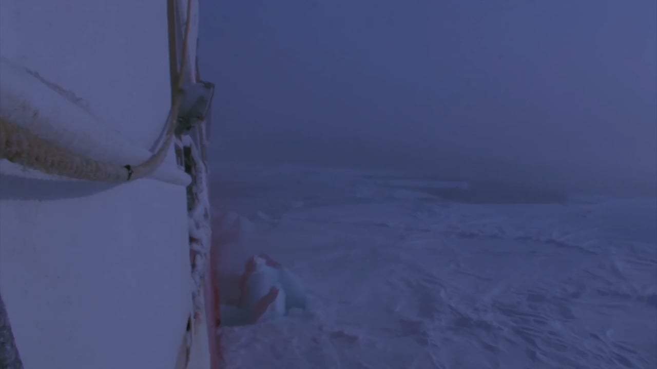 The Arctic Expedition Trailer (2018) Screen Capture #2