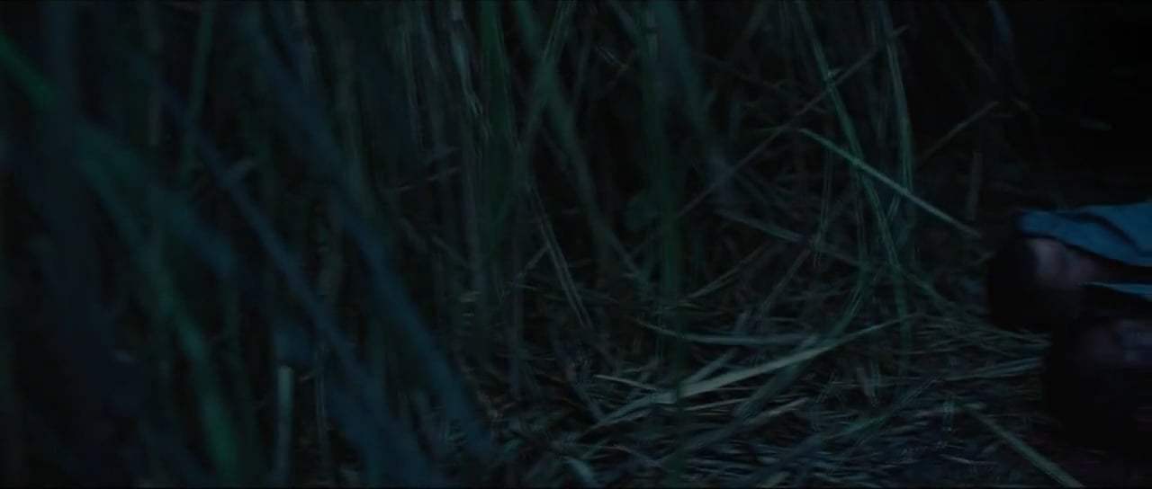 Youth Trailer (2018) Screen Capture #1