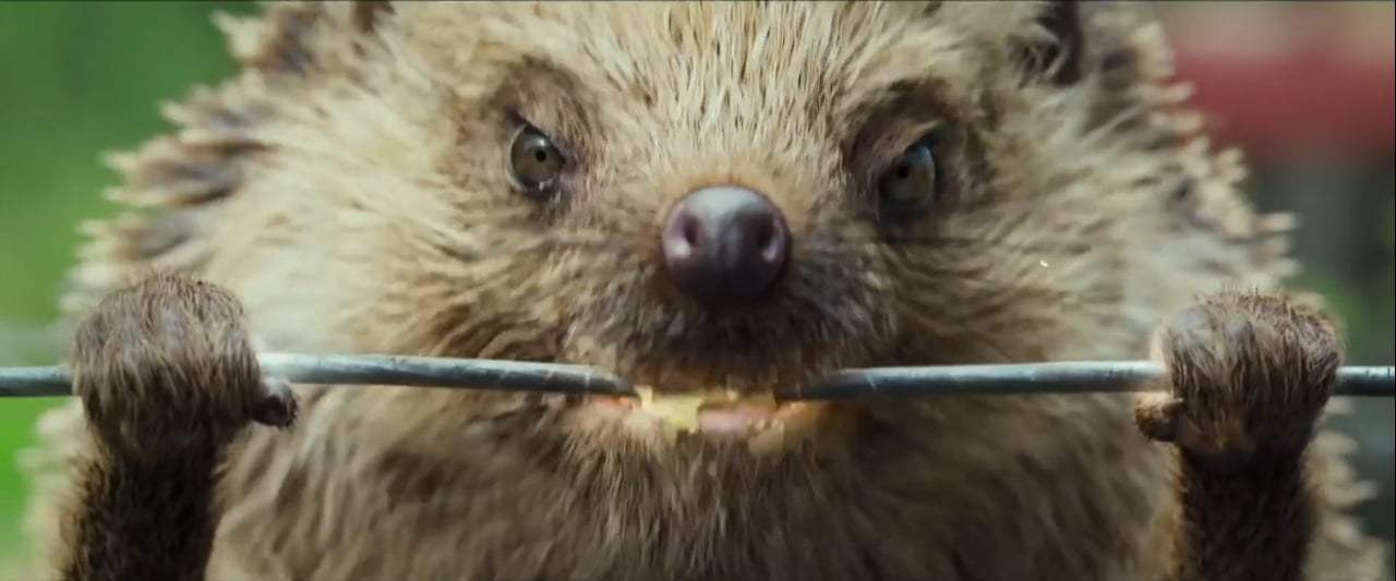 Peter Rabbit TV Spot - Versus (2018) Screen Capture #1
