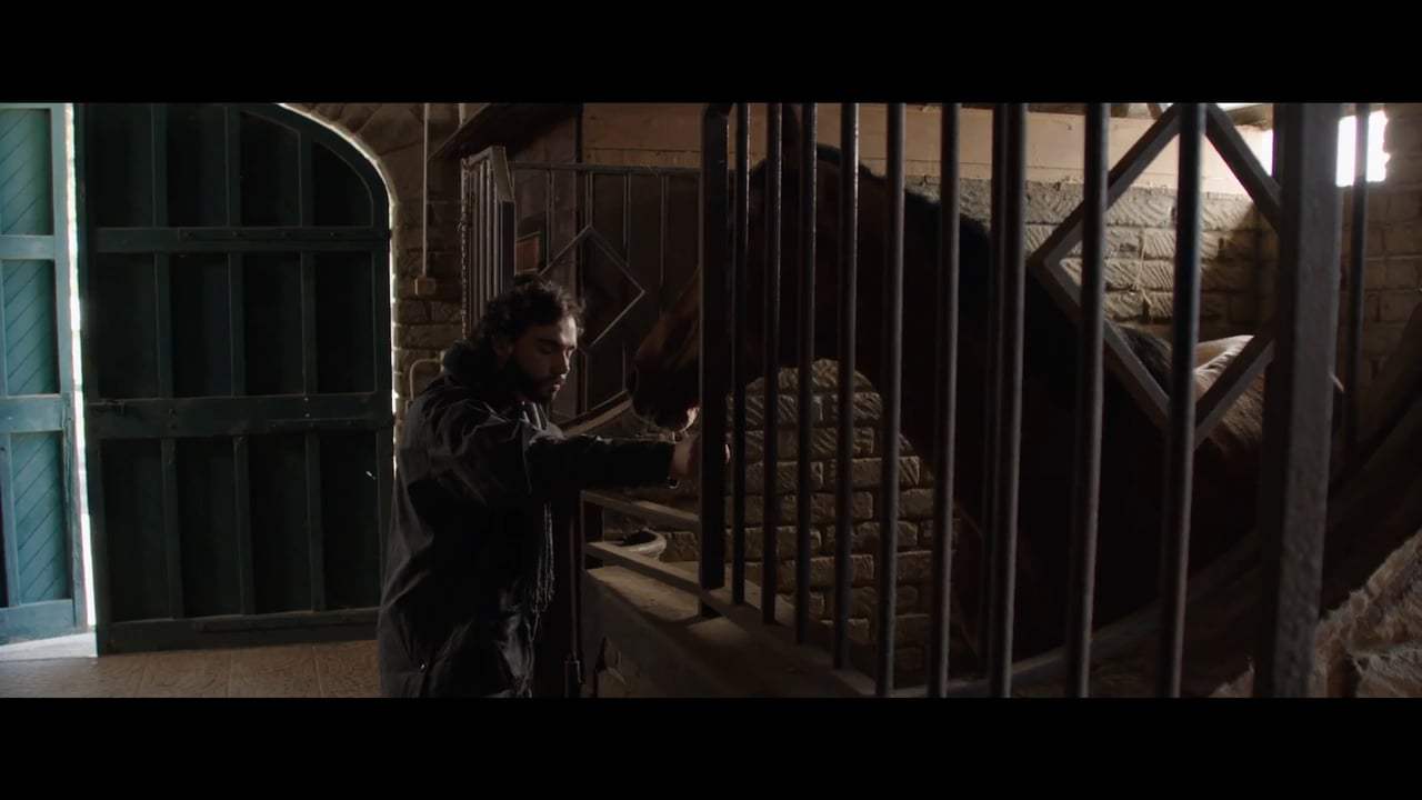 The Music of Silence Trailer (2018) Screen Capture #1