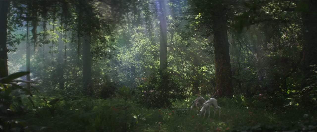 Annihilation Featurette - The Shimmer (2018) Screen Capture #2