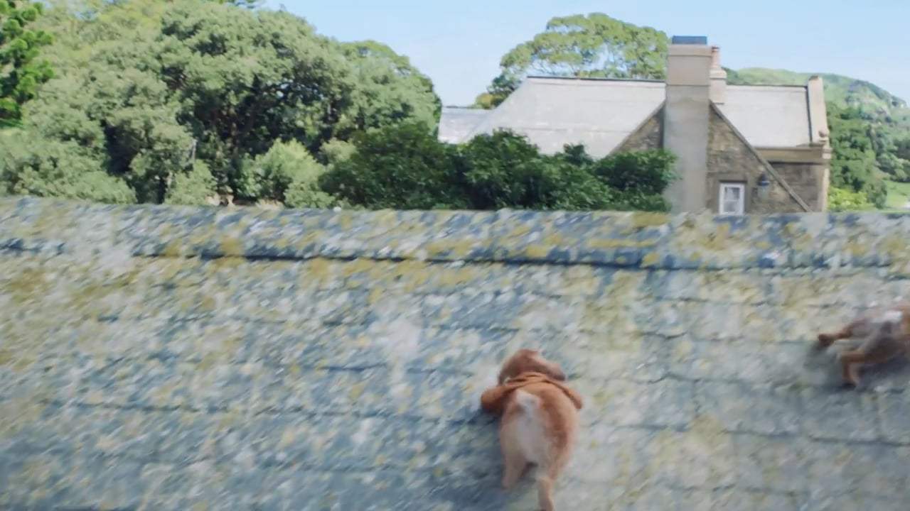 Peter Rabbit (2018) - 3 Card Monte Screen Capture #1