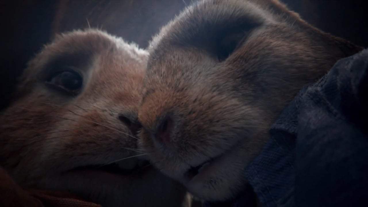 Peter Rabbit (2018) - 3 Card Monte Screen Capture #3