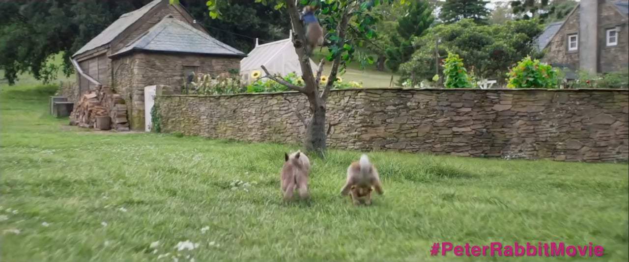 Peter Rabbit (2018) - Individual Talents Screen Capture #2