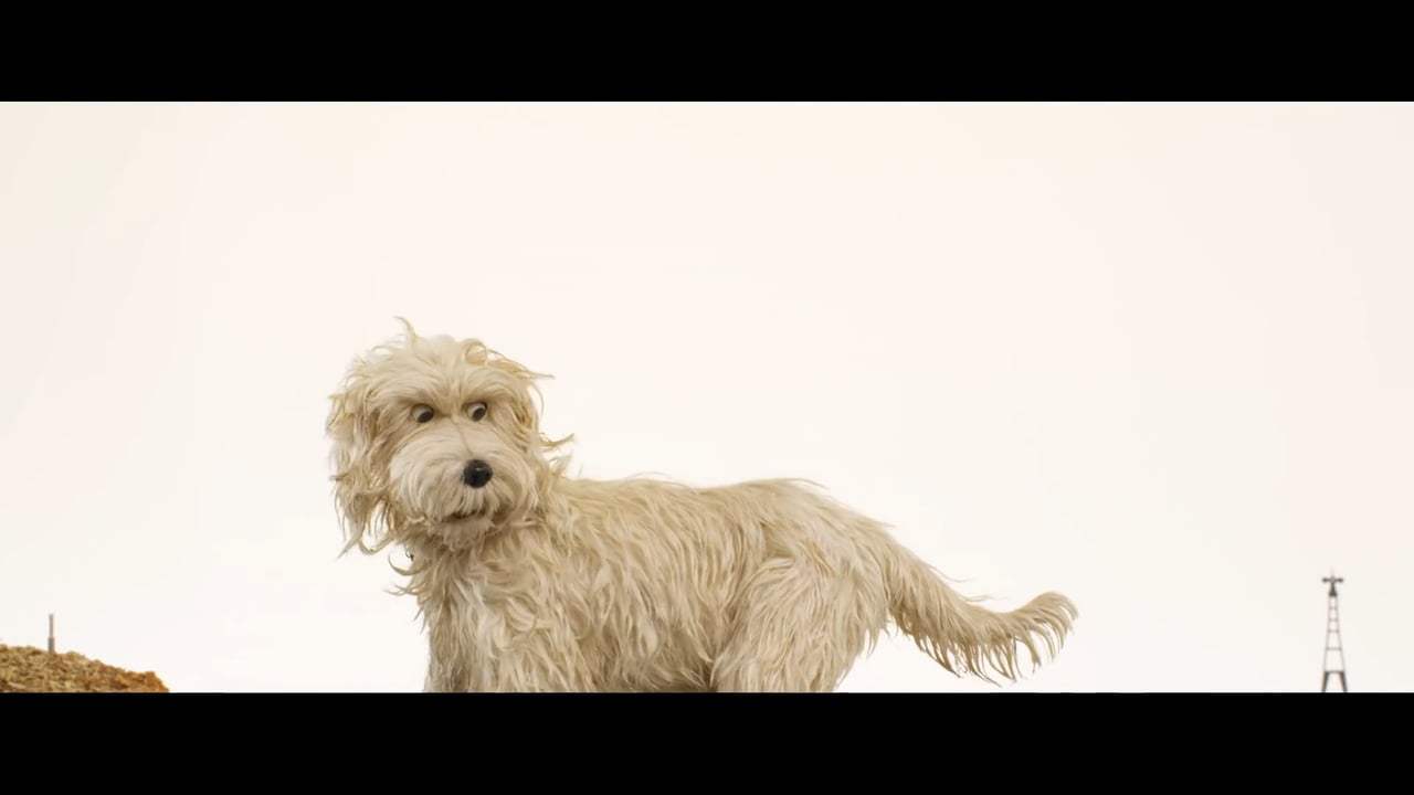 Isle of Dogs (2018) - Okay It's Worth It Screen Capture #4