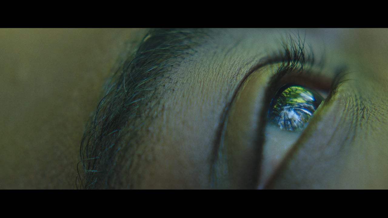 They Remain Theatrical Trailer (2017) Screen Capture #2