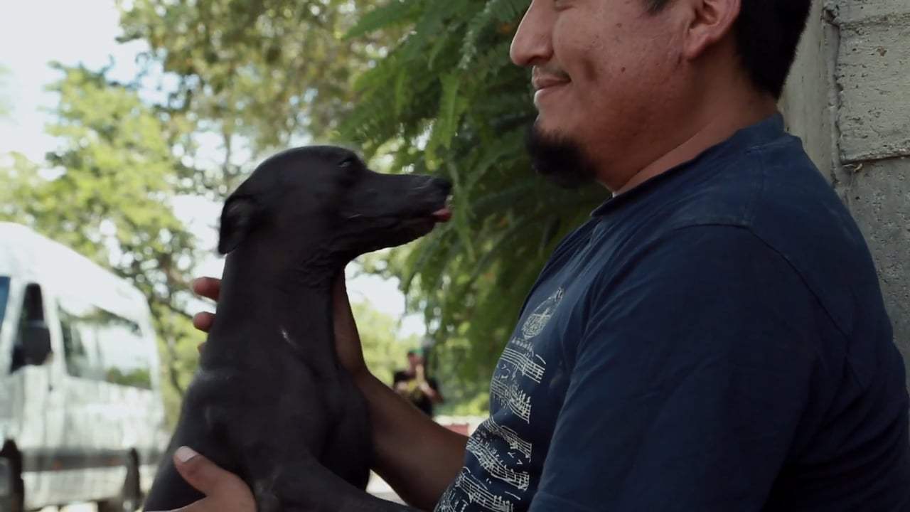 Coco Featurette - Xolo Dogs (2017) Screen Capture #2