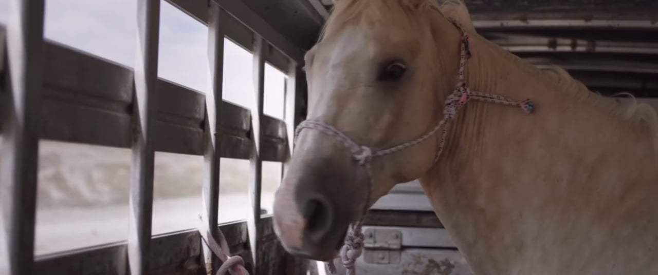 The Rider Trailer (2018) Screen Capture #2