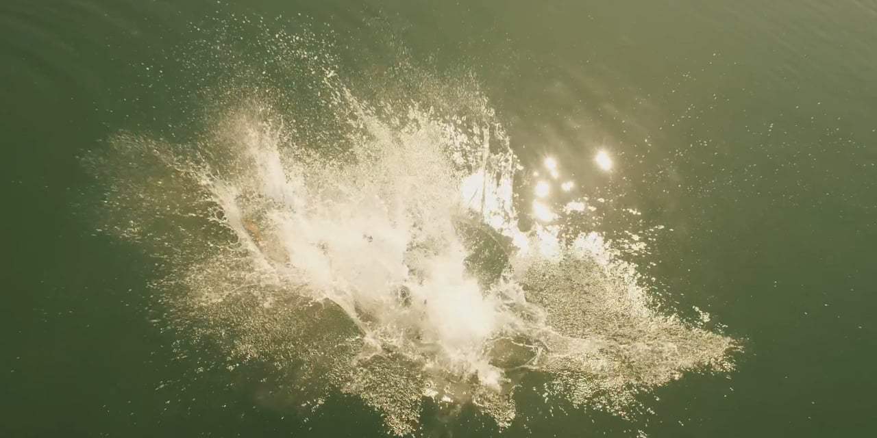 Baja Trailer (2018) Screen Capture #3