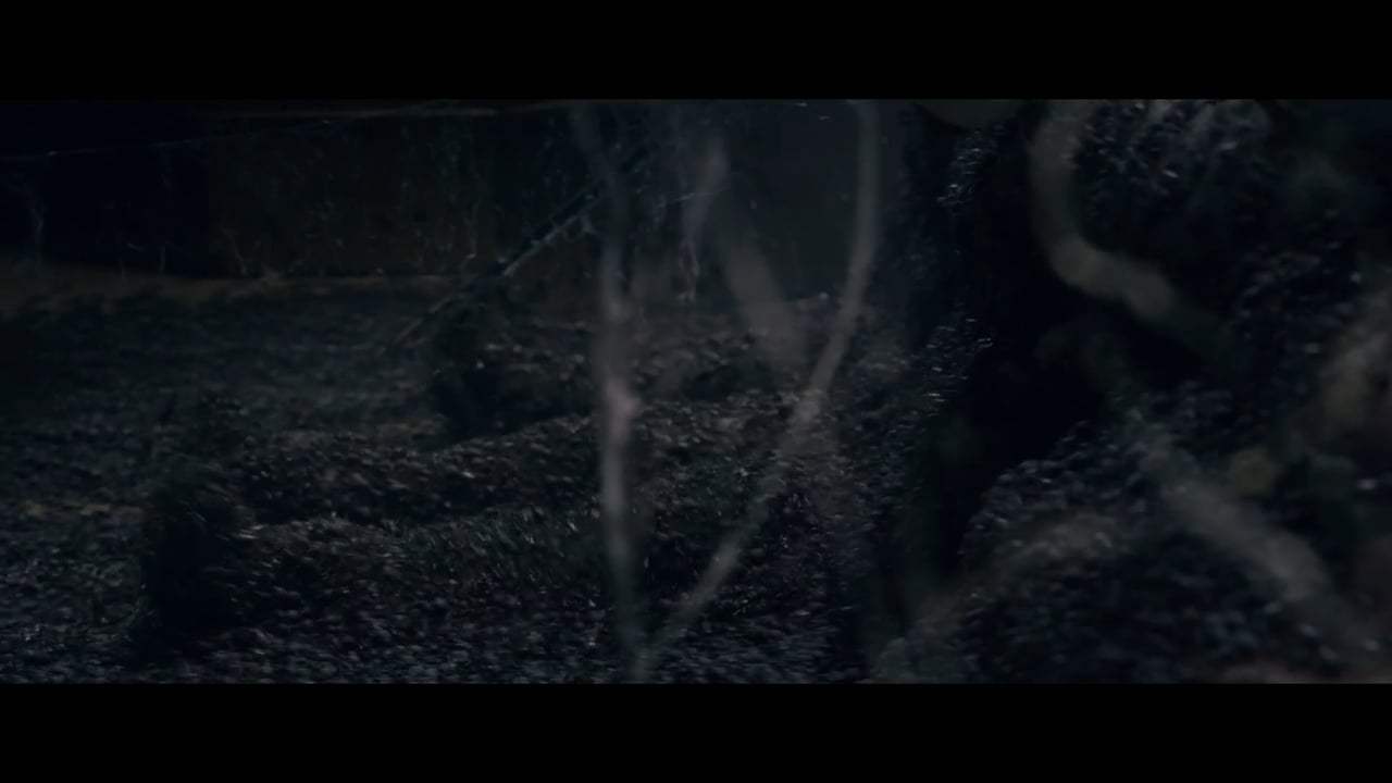 Guardians of the Tomb Trailer (2018) Screen Capture #3