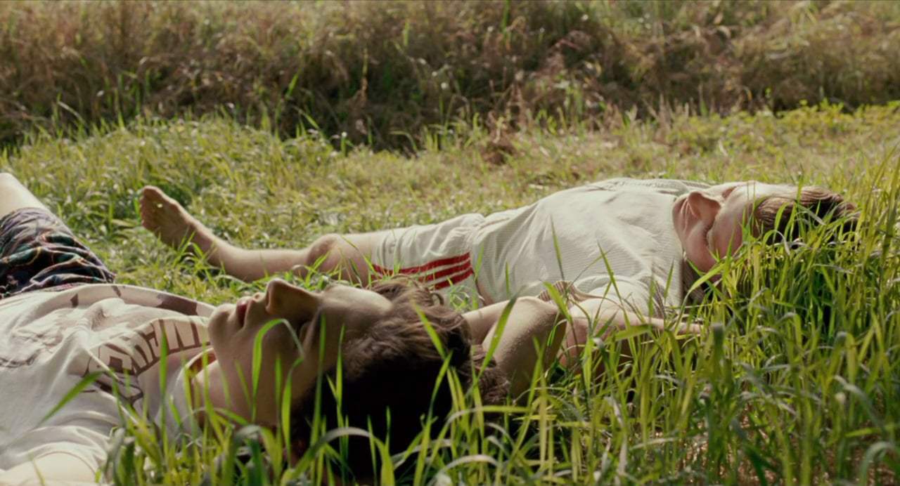Call Me by Your Name Music Video - 