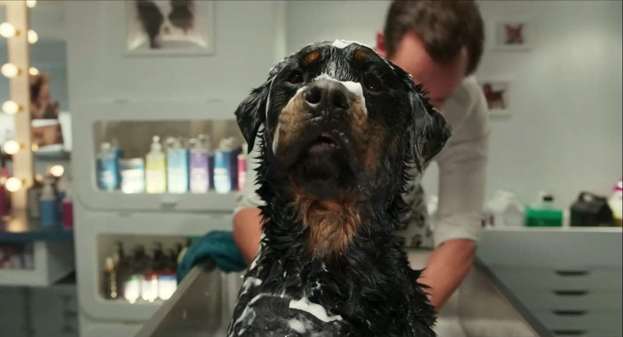Show Dogs Feature Trailer (2018) Screen Capture #3