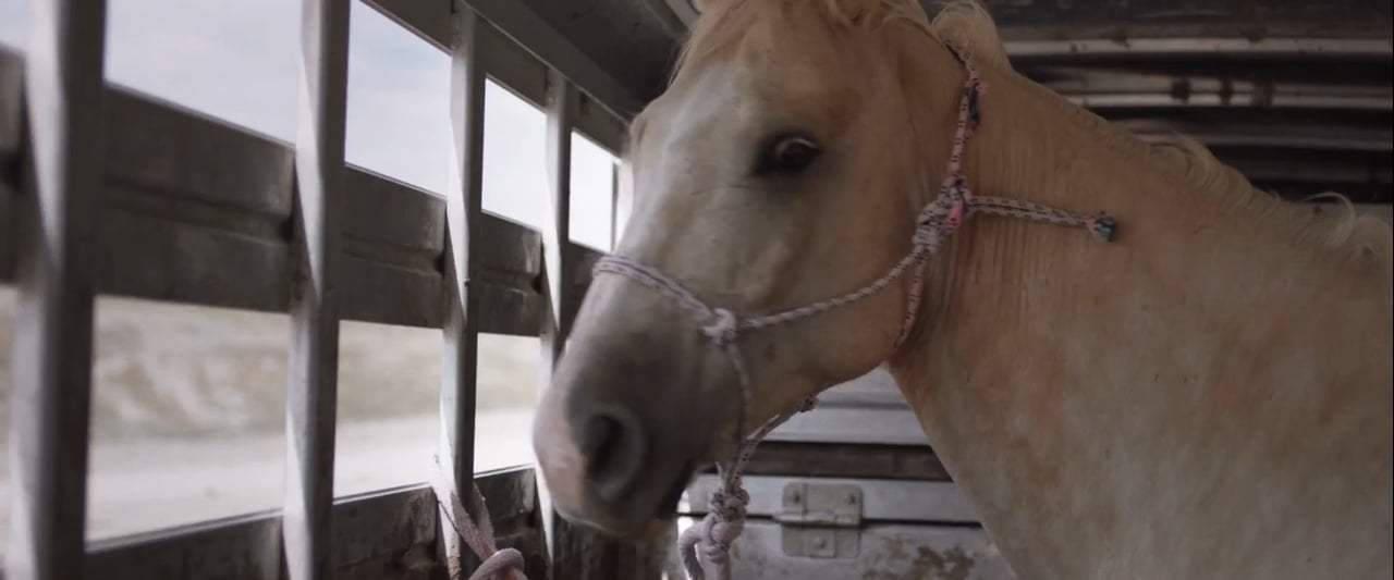 The Rider Feature Trailer (2018) Screen Capture #2