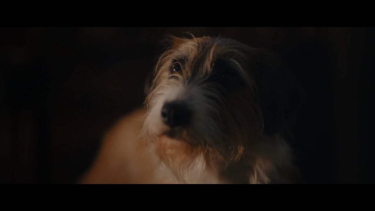 Thursday Night Trailer (2018) Screen Capture #1