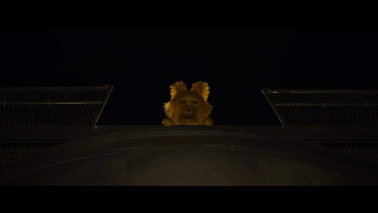 Isle of Dogs (2018) - You're Nutmeg Screen Capture #4