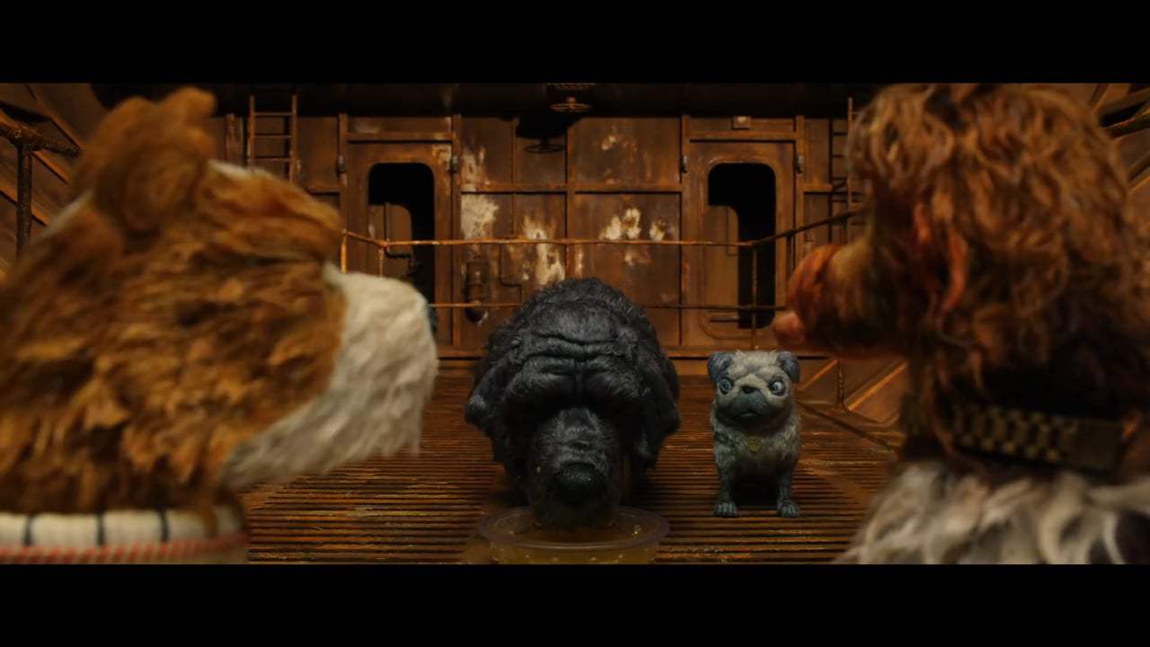 Isle of Dogs (2018) - Dog Zero Screen Capture #3