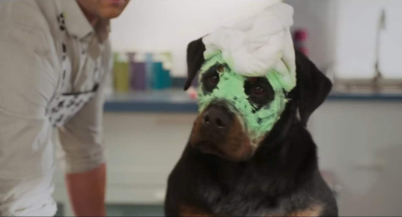 Show Dogs TV Spot - Justice (2018) Screen Capture #1
