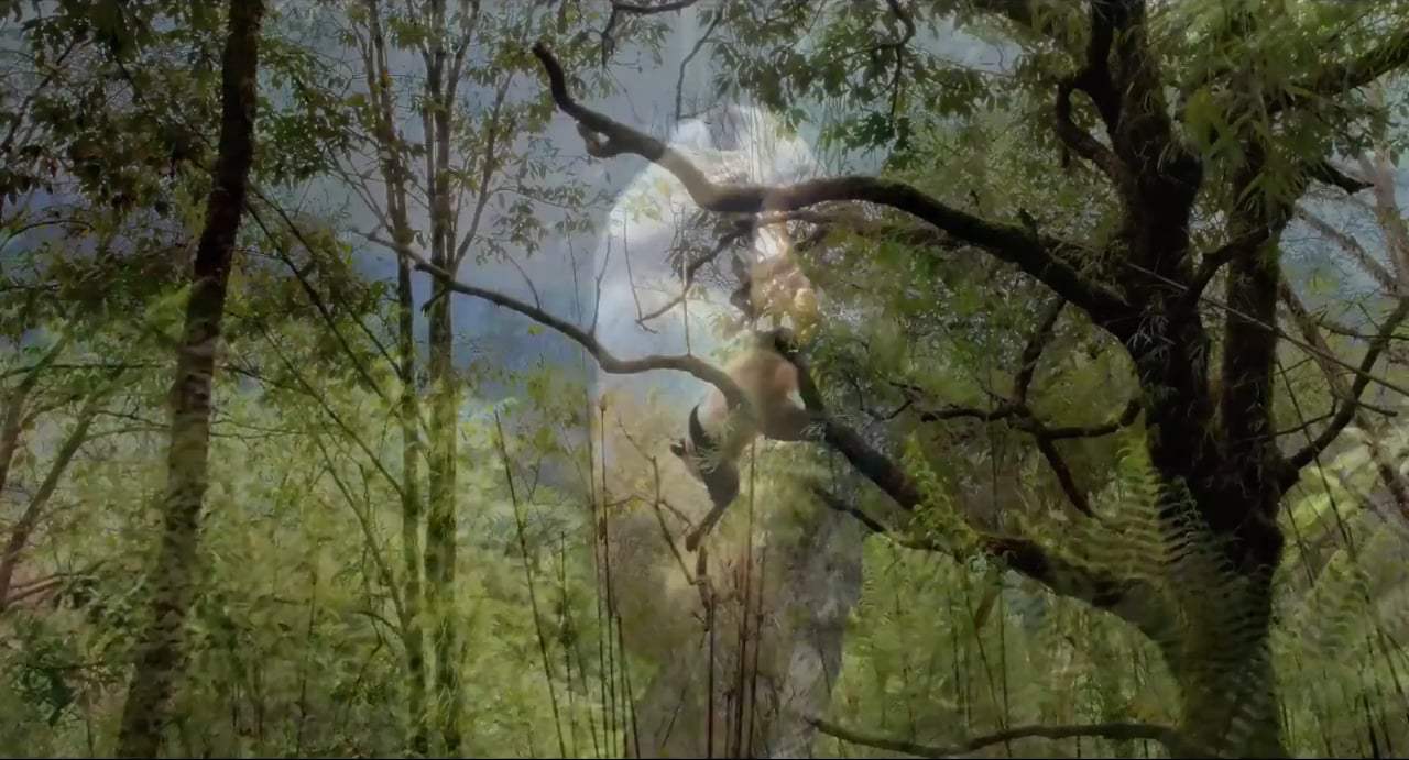 Pandas TV Spot - IMAX (2018) Screen Capture #3