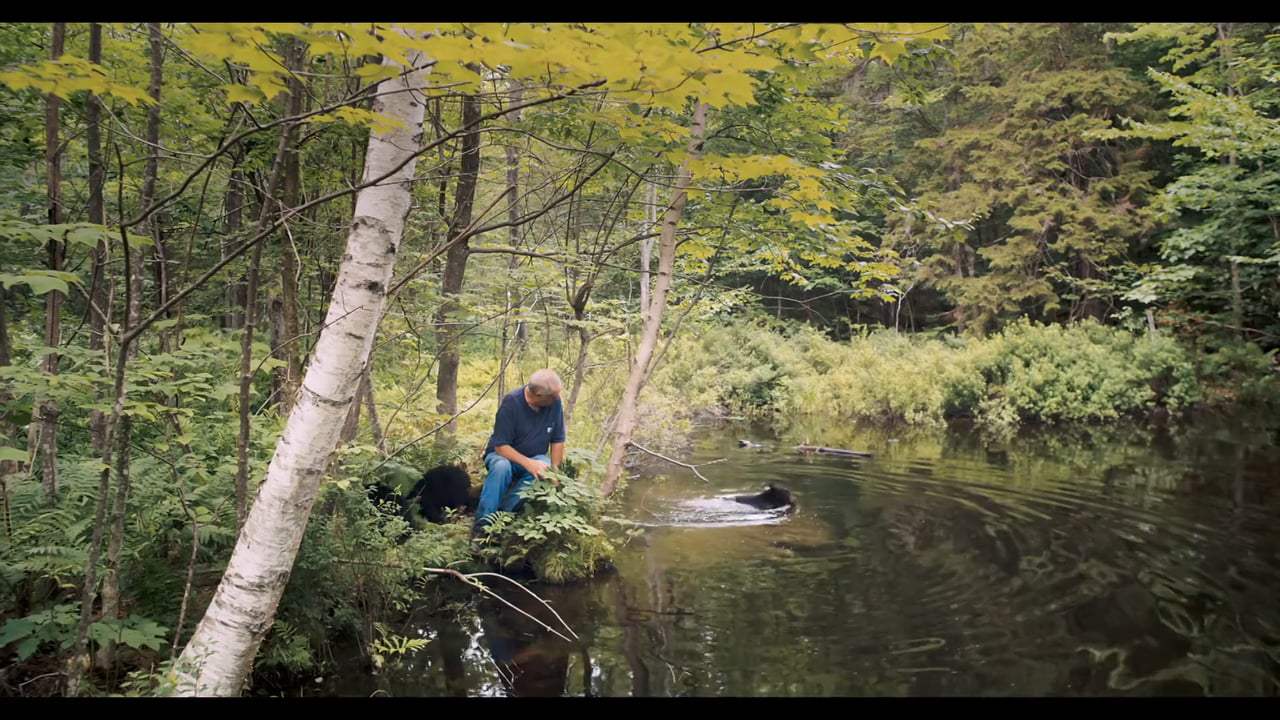 Pandas Featurette - Making Pandas (2018) Screen Capture #2