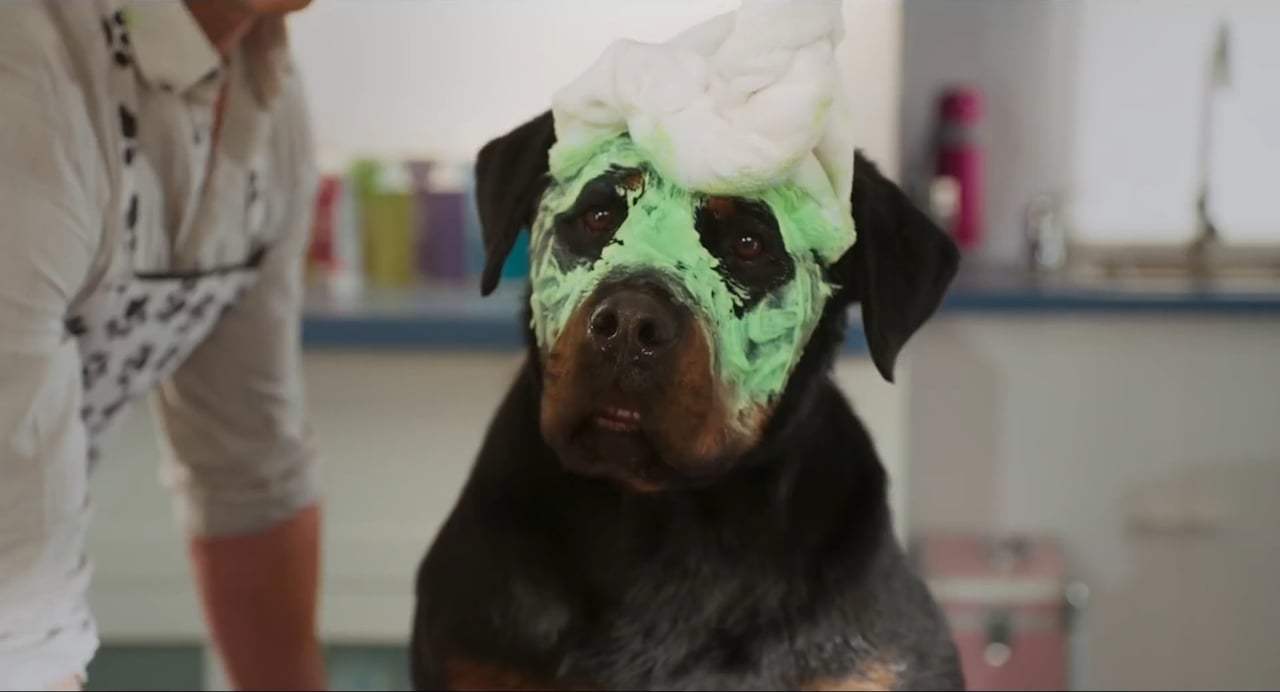 Show Dogs TV Spot - Bow Wow (2018) Screen Capture #1
