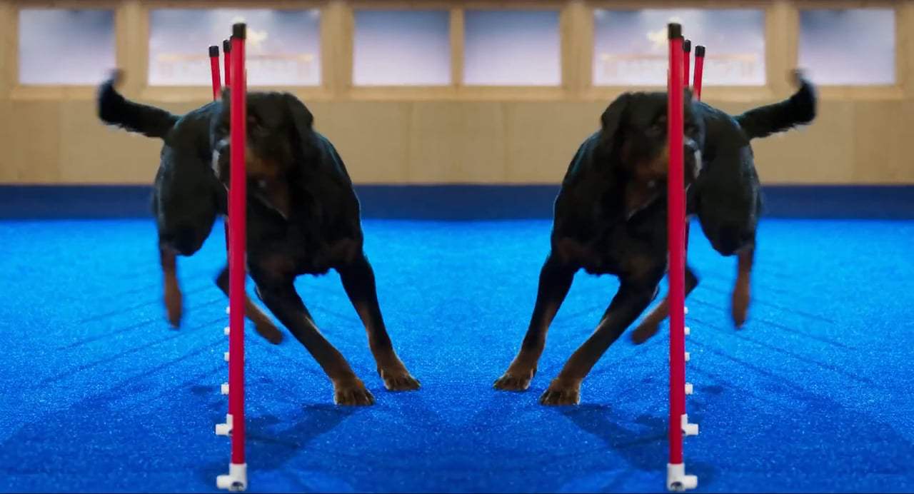 Show Dogs TV Spot - Bow Wow (2018) Screen Capture #2