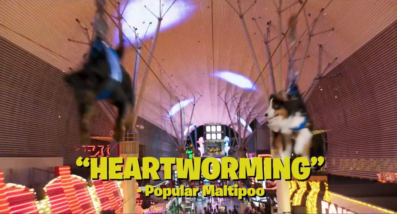 Show Dogs TV Spot - Bow Wow (2018) Screen Capture #3