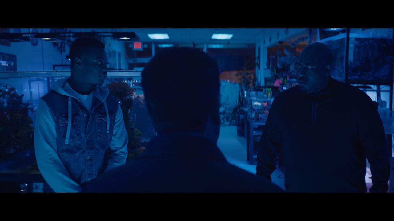 The Assassin's Code Trailer (2018) Screen Capture #1