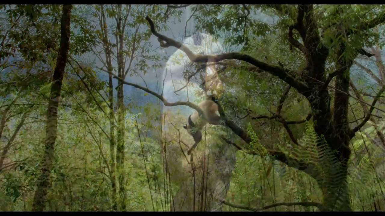 Pandas TV Spot - Mission (2018) Screen Capture #3