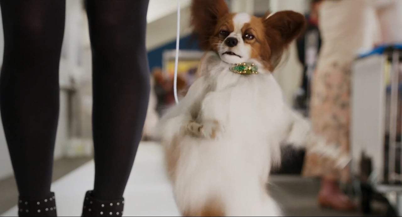 Show Dogs TV Spot - Unfurgettable (2018) Screen Capture #1
