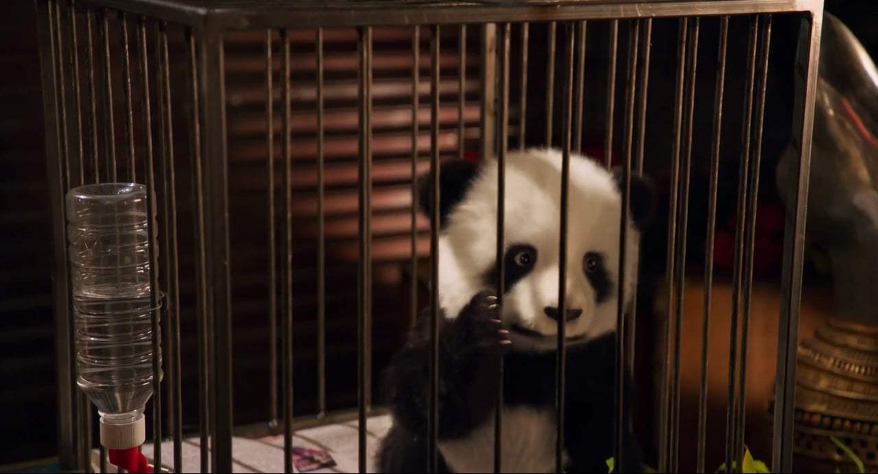 Show Dogs TV Spot - Partners (2018) Screen Capture #3