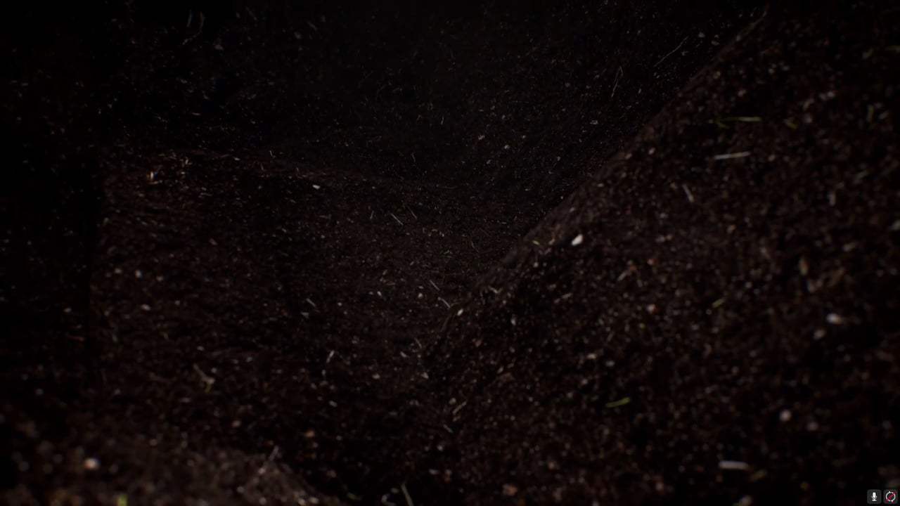 Tree Trailer (2018) Screen Capture #1