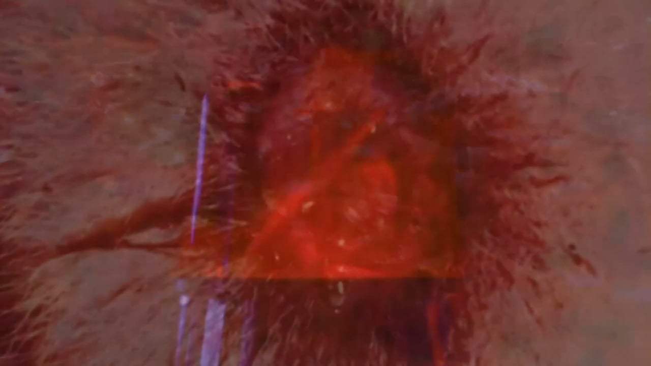 Infinite Galatea Trailer (2018) Screen Capture #2