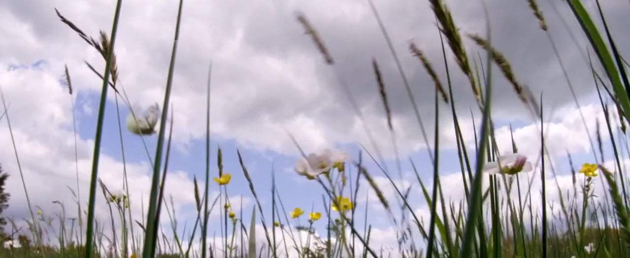 The Silver Branch Trailer (2018) Screen Capture #2