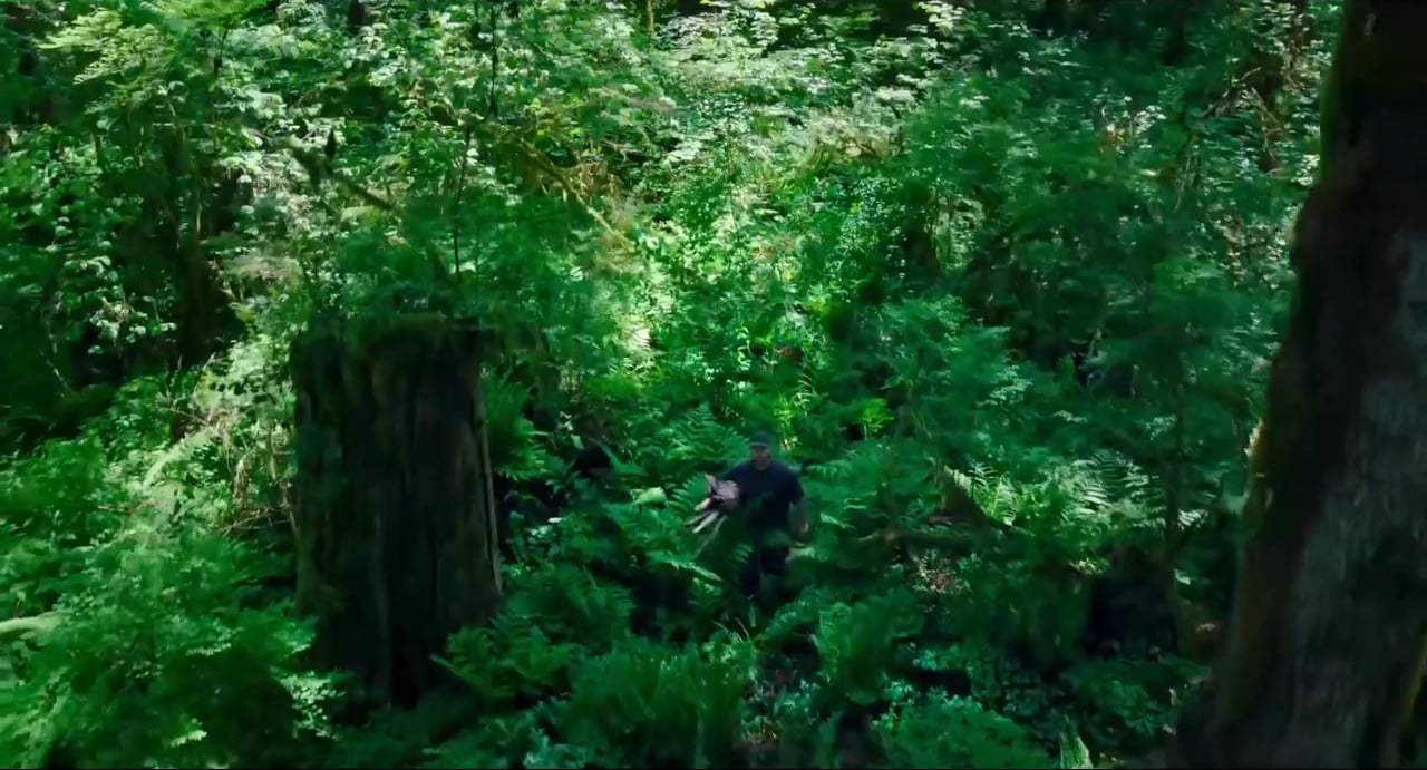 Leave No Trace Trailer (2018) Screen Capture #1