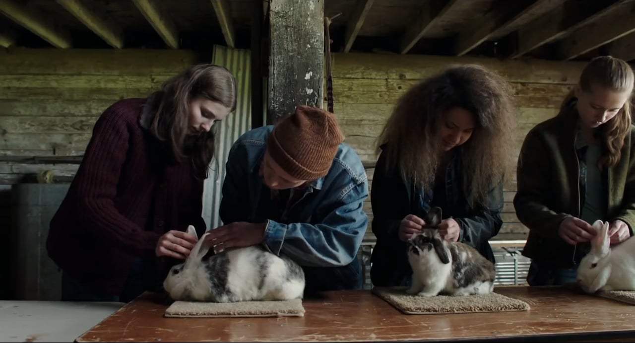 Leave No Trace Trailer (2018) Screen Capture #3