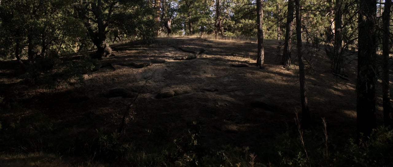 Feral Trailer (2018) Screen Capture #1