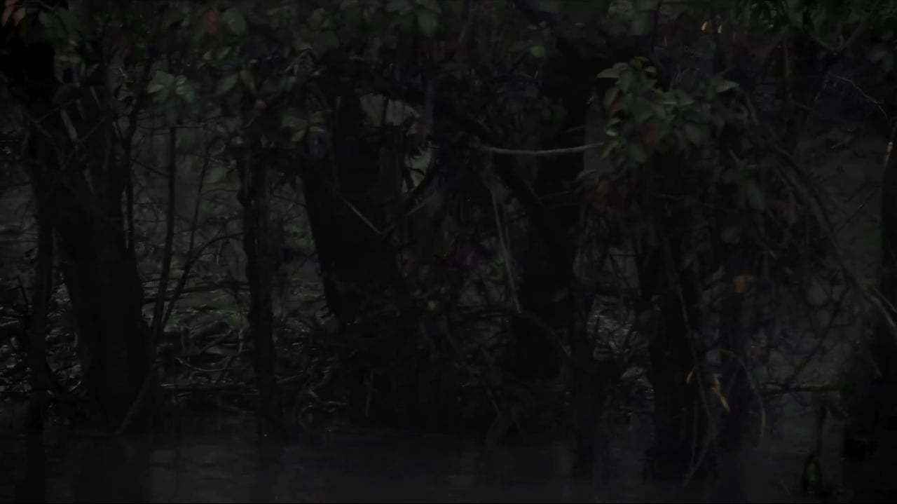 Black Line Trailer (2018) Screen Capture #1