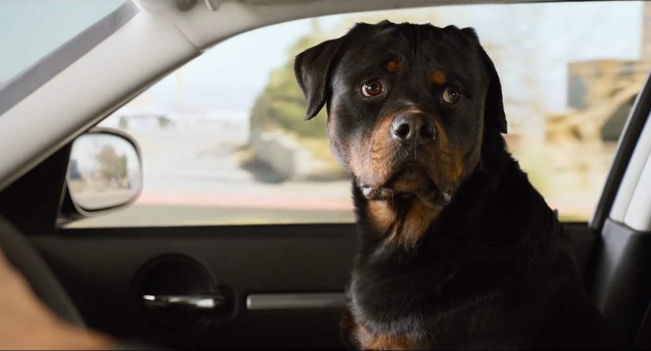 Show Dogs (2018) - My Music Screen Capture #1