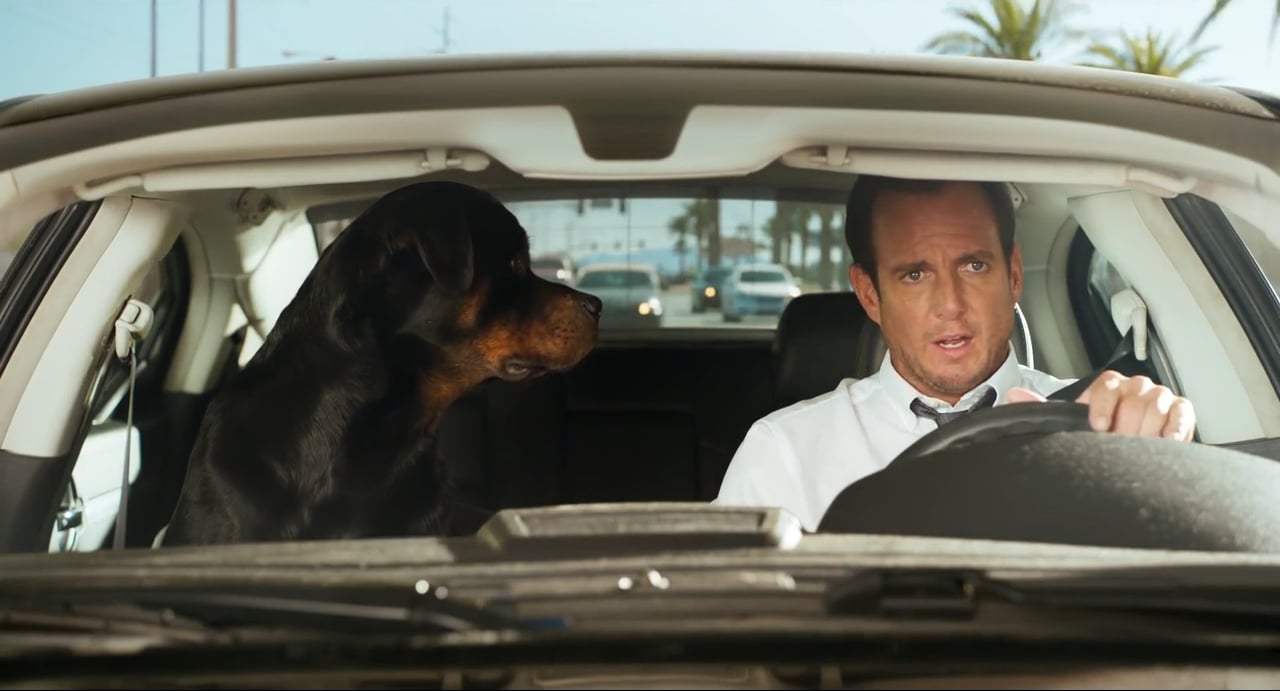 Show Dogs (2018) - My Music Screen Capture #2