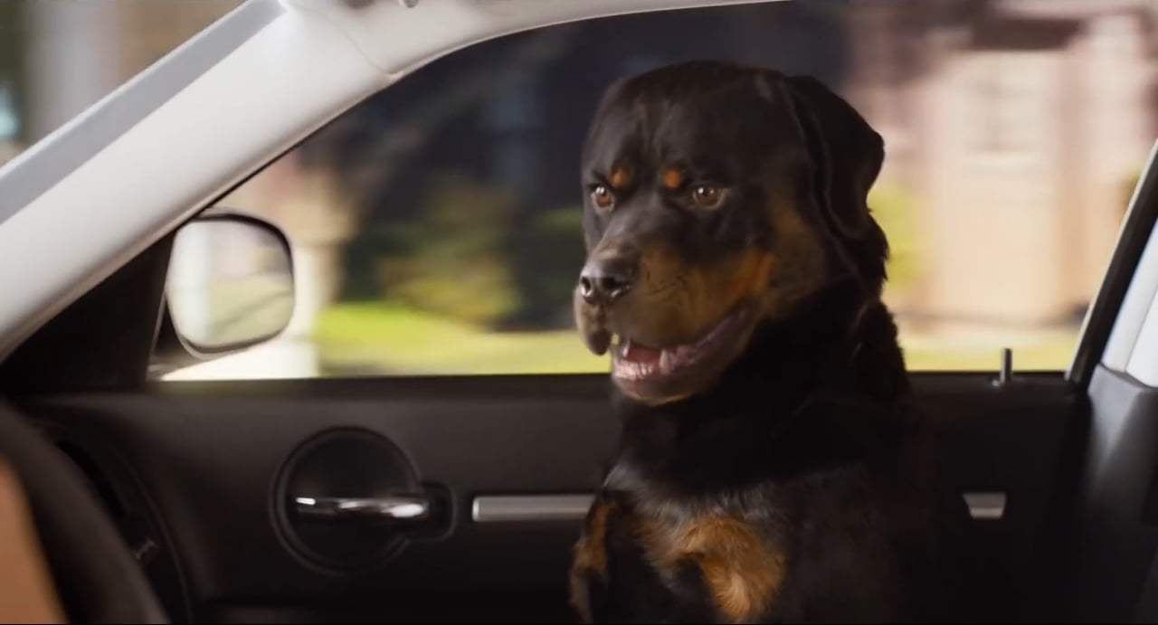 Show Dogs (2018) - My Music Screen Capture #3