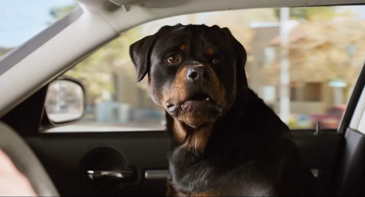 Show Dogs (2018) - My Music Screen Capture #4